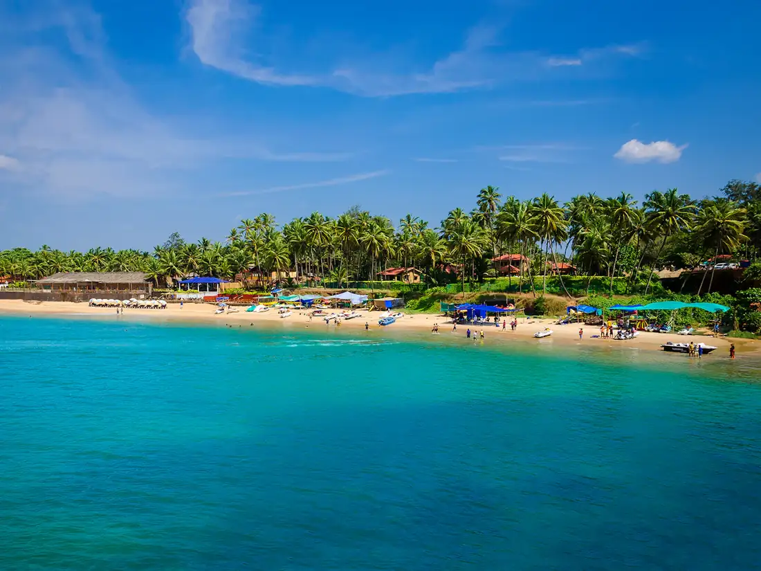 Palm-lined beach with clear blue water in Goa
