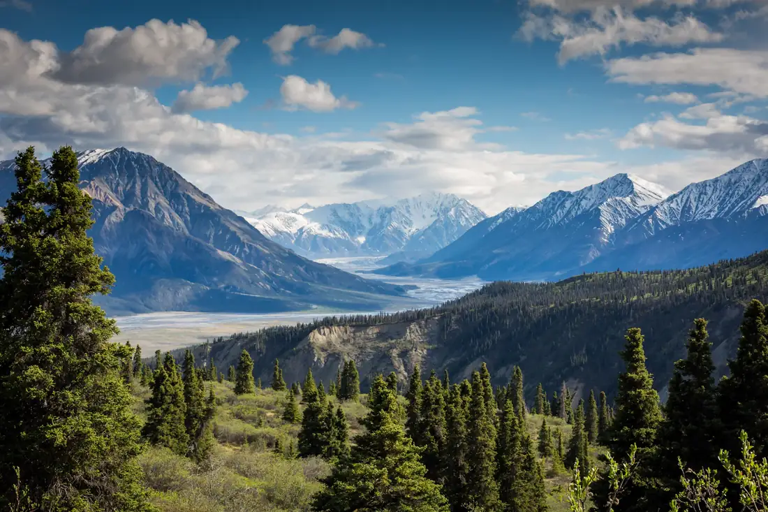 Pine-covered valley below a mountain range