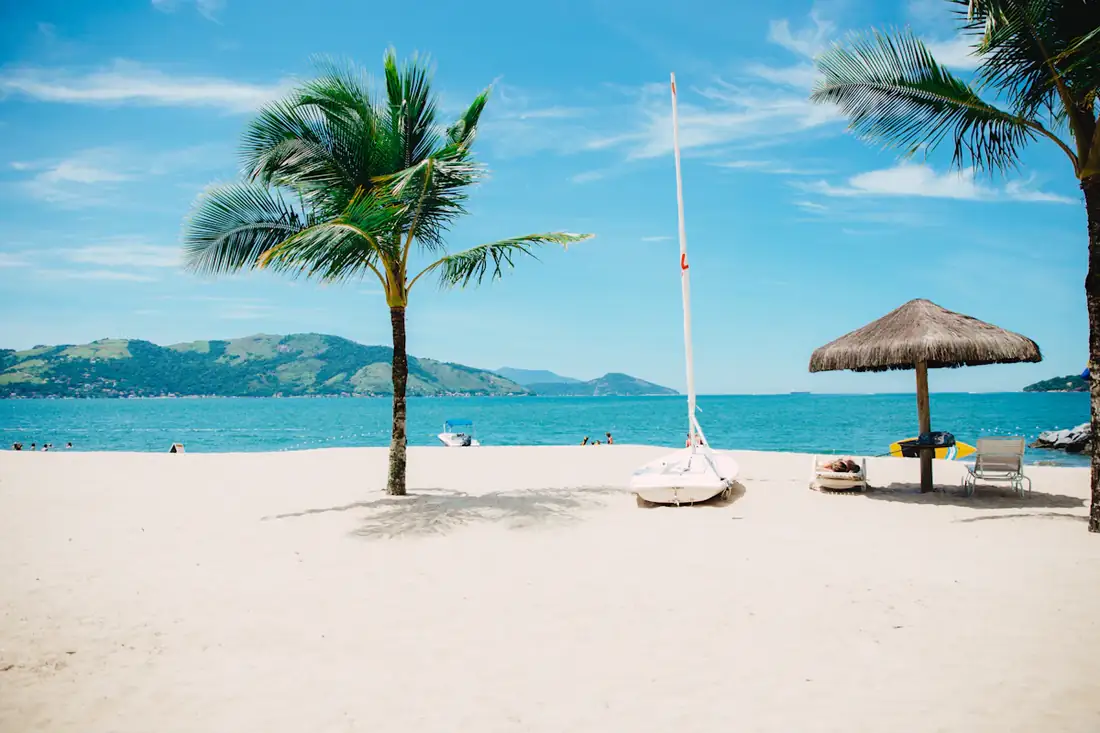 Palm tree on a white sand beach with turquoise water